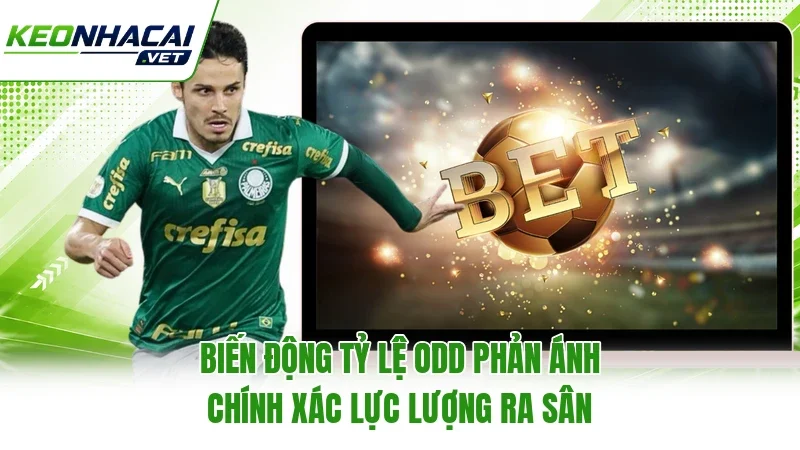 Biến động tỷ lệ odd phản ánh chính xác lực lượng ra sân Biến động tỷ lệ odd phản ánh chính xác lực lượng ra sân