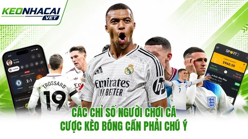 Các chỉ số người chơi cá cược kèo bóng cần phải chú ý Các chỉ số người chơi cá cược kèo bóng cần phải chú ý
