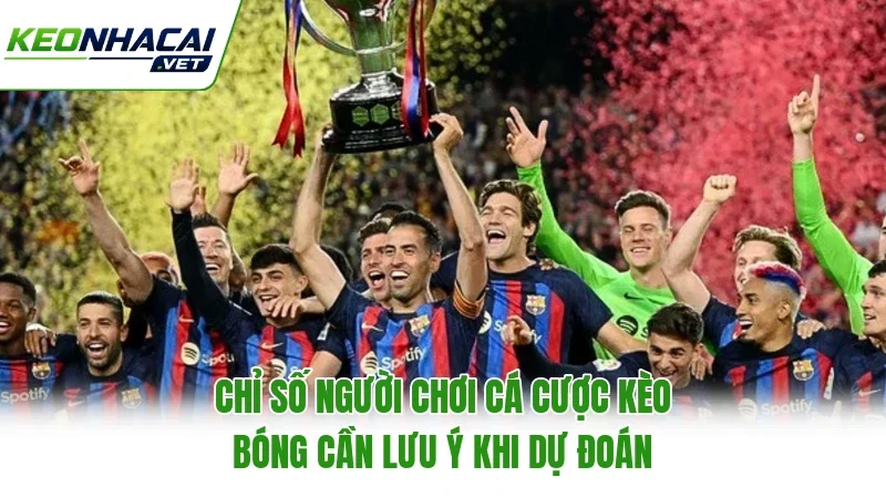Chỉ số người chơi cá cược kèo bóng cần lưu ý khi dự đoán