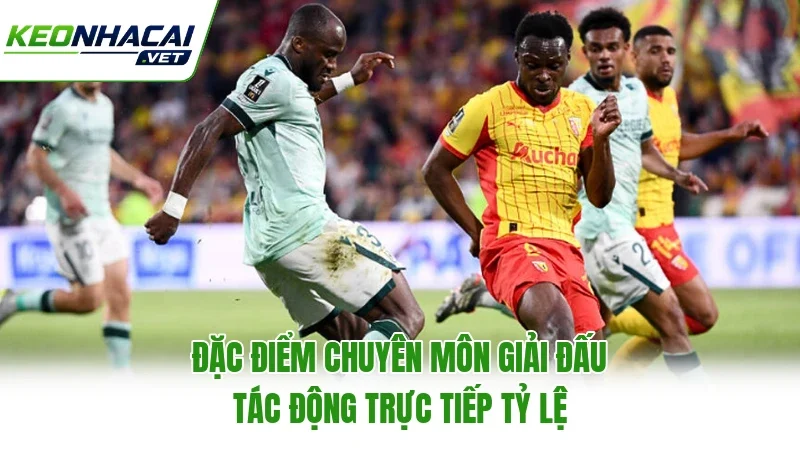 Đặc điểm chuyên môn giải đấu tác động trực tiếp tỷ lệ