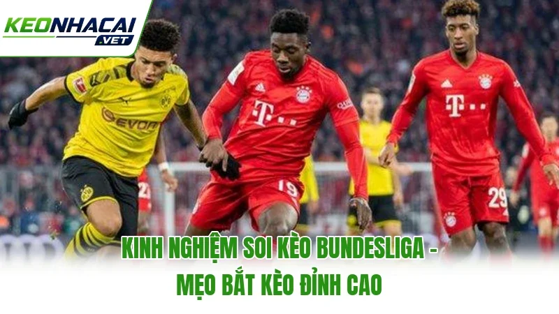 Kinh Nghiệm Soi Kèo Bundesliga - Mẹo Bắt Kèo Đỉnh Cao