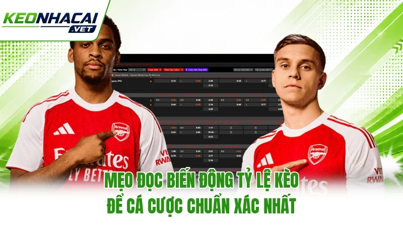 Mẹo đọc biến động tỷ lệ kèo để cá cược chuẩn xác nhất Mẹo đọc biến động tỷ lệ kèo để cá cược chuẩn xác nhất