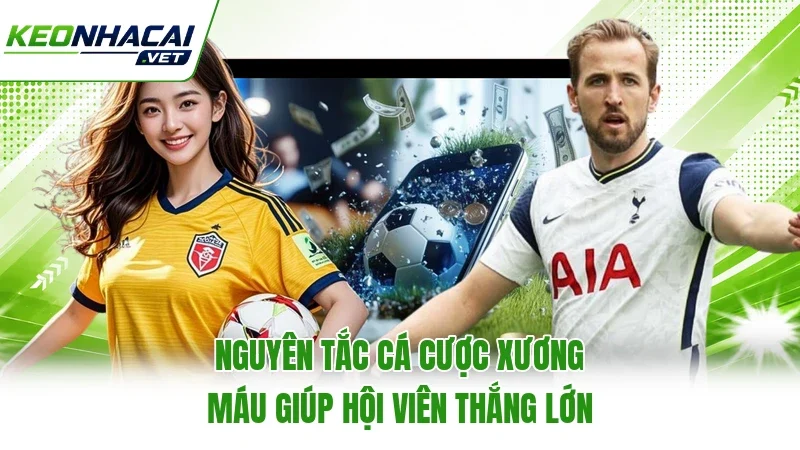 Nguyên Tắc Cá Cược Xương Máu Giúp Hội Viên Thắng Lớn