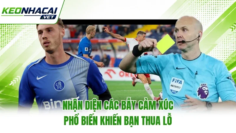 Nhận diện các bẫy cảm xúc phổ biến khiến bạn thua lỗ