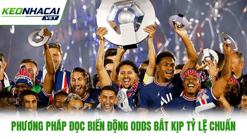 Phương pháp đọc biến động Odds bắt kịp tỷ lệ chuẩn