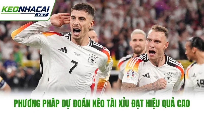 Phương pháp dự đoán kèo Tài Xỉu đạt hiệu quả cao Phương pháp dự đoán kèo Tài Xỉu đạt hiệu quả cao